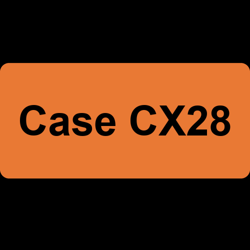 Case CX28